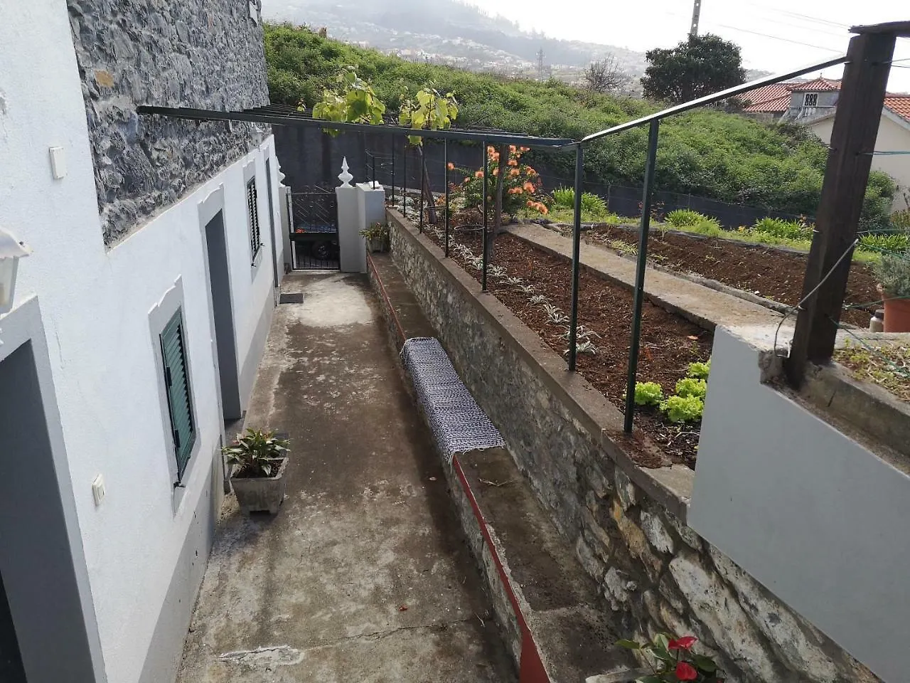 Madeira Inn Casa Da Paz Calheta  Holiday home